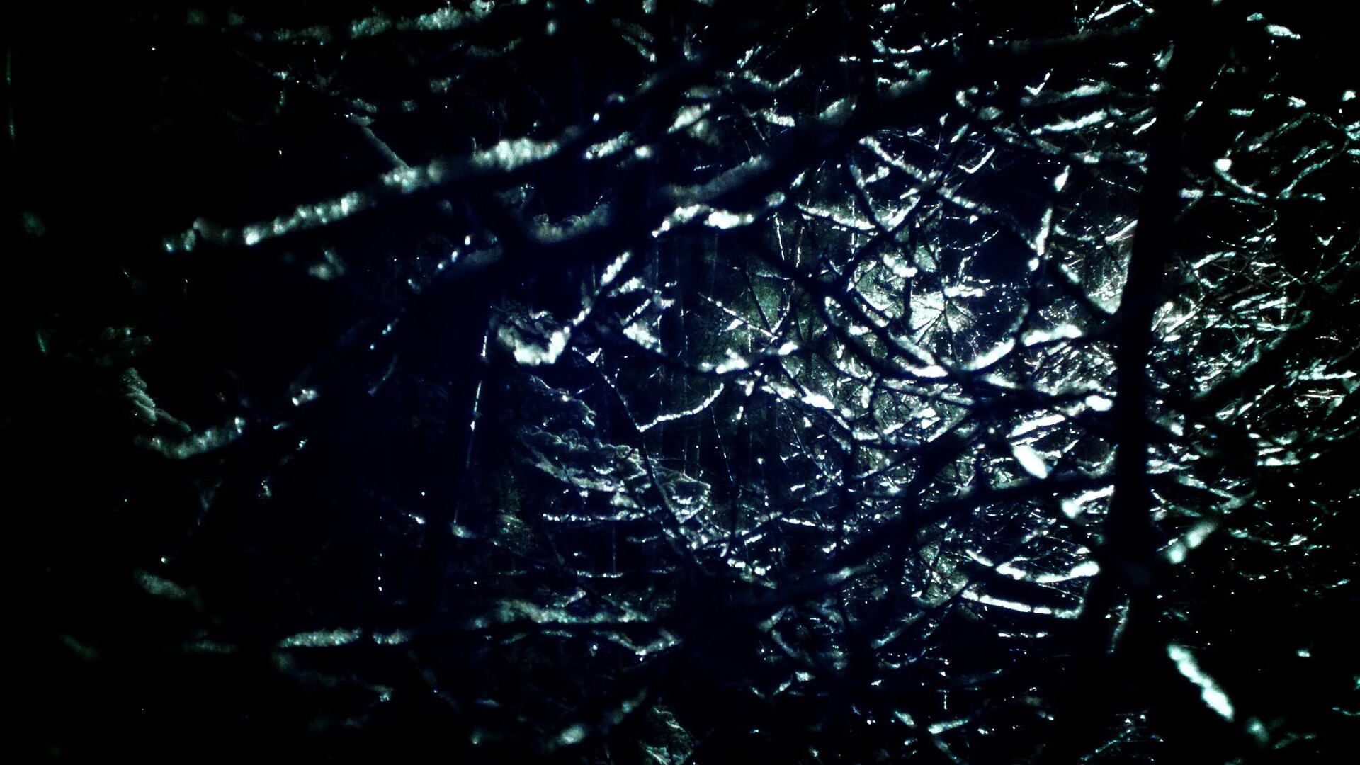 传奇巨星的篮球哲学:他们的成功秘诀揭秘,篮球运动的哲学基础