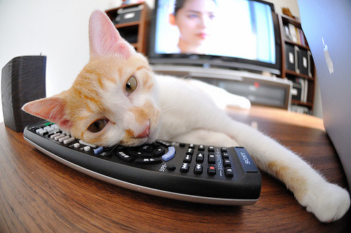 季后赛中“荣获”多场“最佳防守球员”头衔，被声称是“防守大师”！