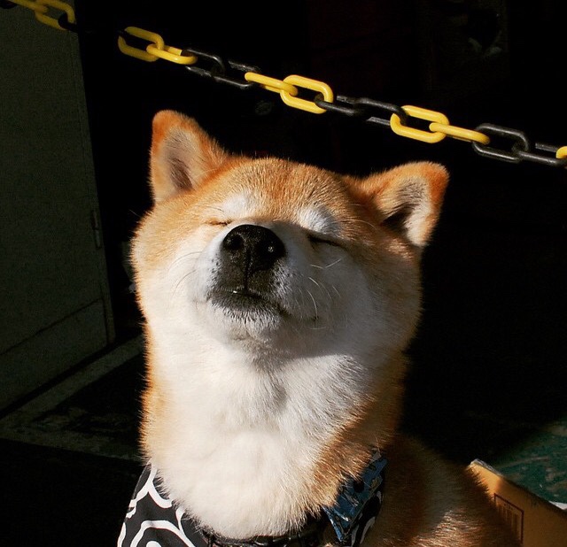 九游9游-太阳队迎战联盟新秀，期待稳赢，太阳队kidd